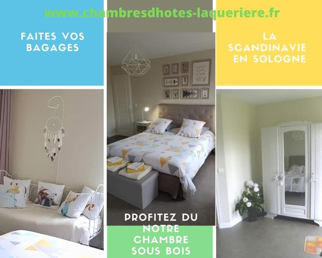 Chambres D'Hotes La Queriere Mur-de-Sologne Exterior photo